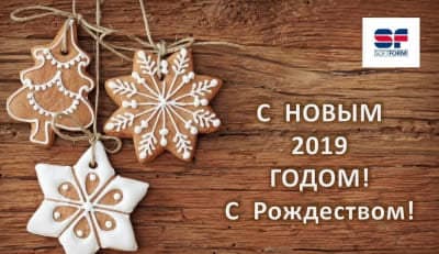 С новым 2019 годом и рождеством!